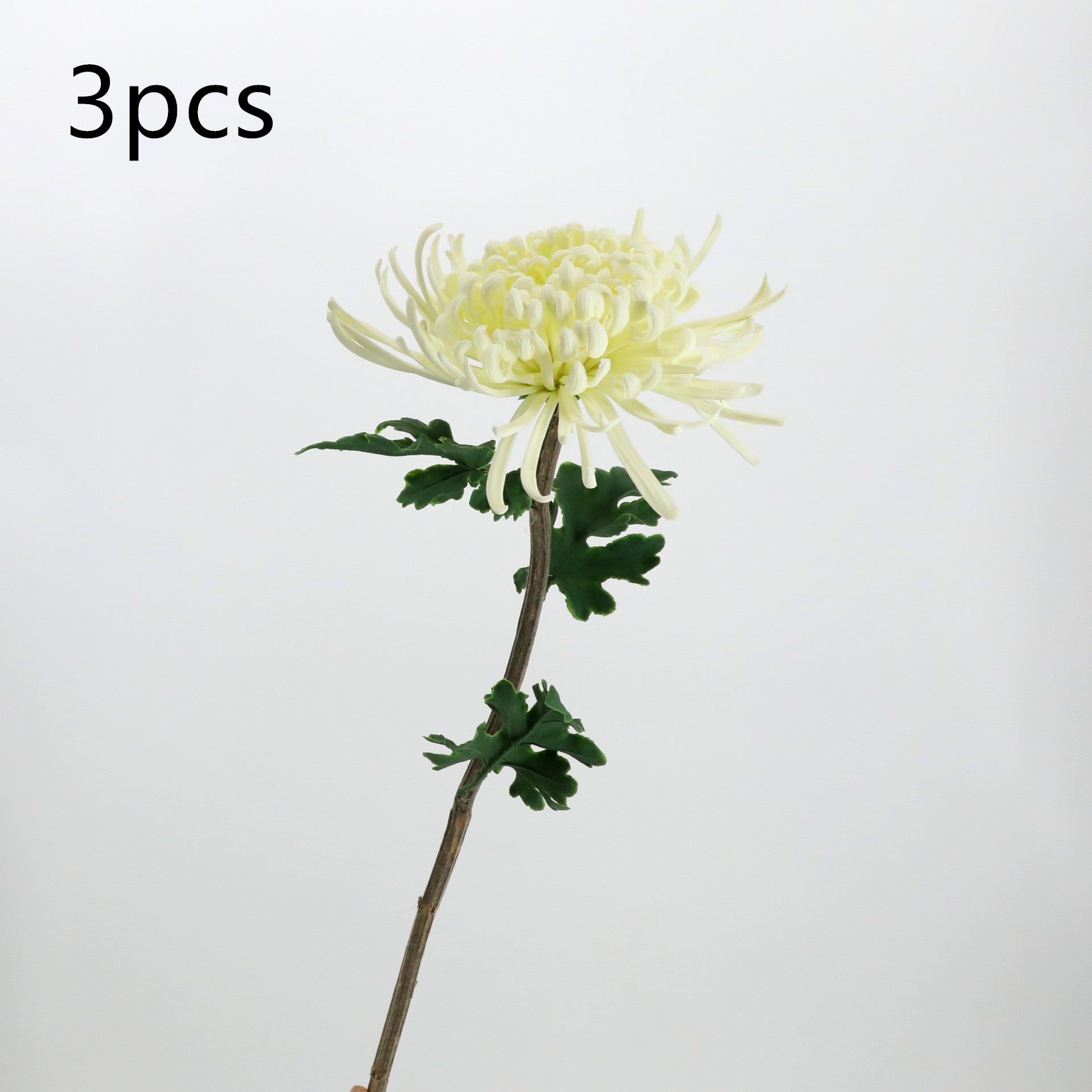 1cf654474e139281b38d1e163cf9ade2