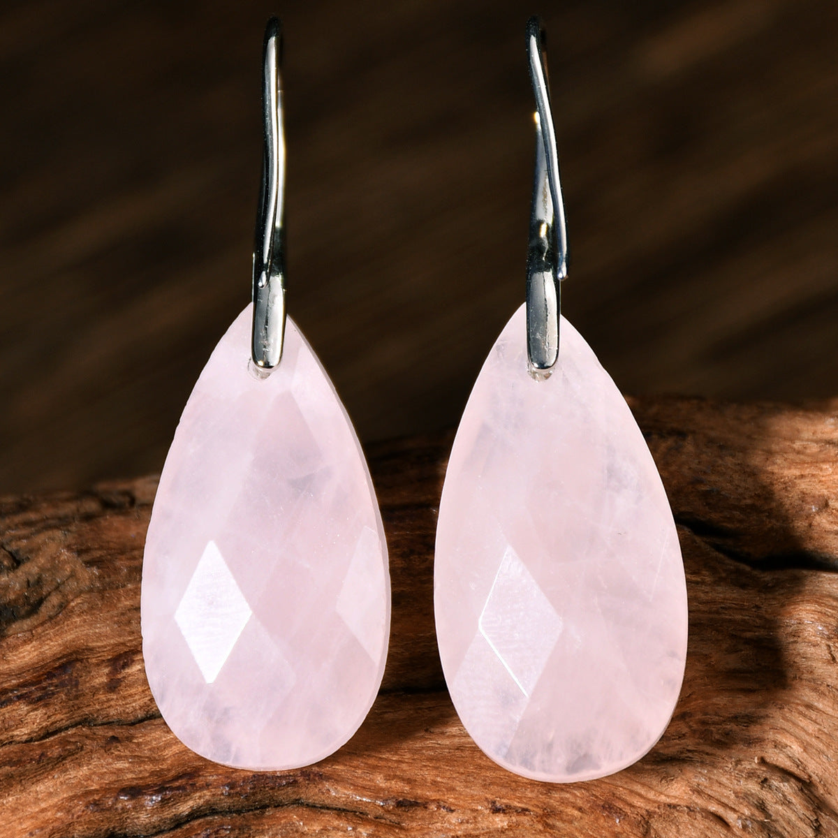 High-grade Earrings Elegant Women's Light Luxury