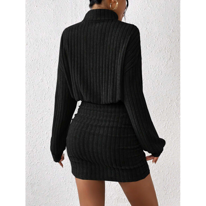 Sunken Stripe Turtleneck Sheath Long Sleeve Dress